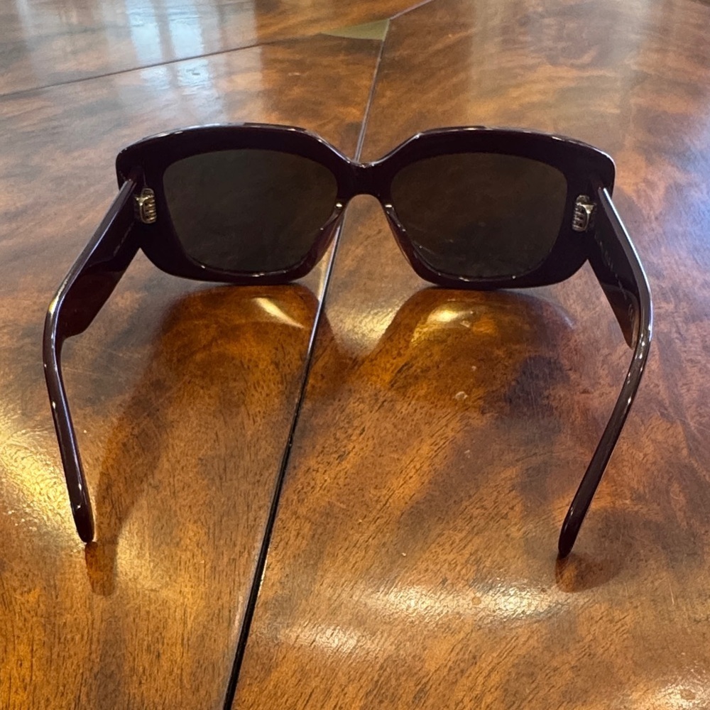 Celine Triomphe Acetate Butterfly Bordeux Women's Sunglasses with Logo - Picture 10 of 16